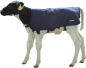 Preview: Kälberdecke EasyWear