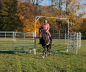 Preview: Schwingtor-6 Breite 3,05 m, Höhe 2,20 m + 2,70 m
