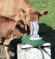 Preview: Membran-Weidepumpe Aquamat II