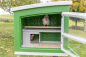 Preview: Mobile Coop aus Kunststoff