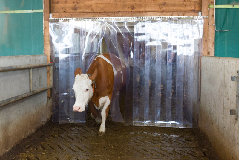 PVC-Streifenvorhang 300 x 3 mm