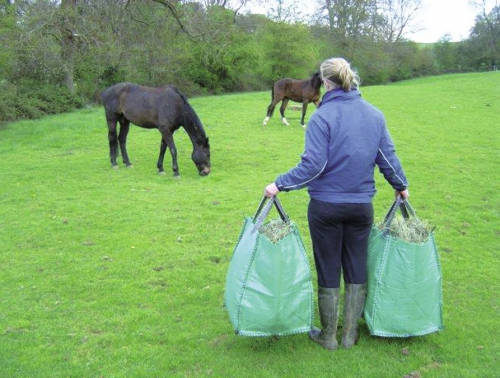 Tragetasche GoBag