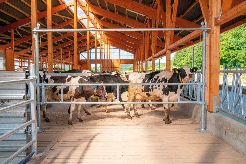 Hubtor für Treibgänge, inkl. Pfosten