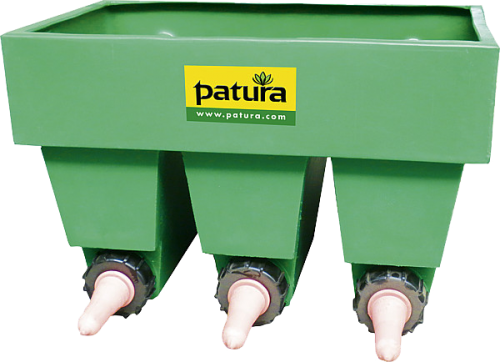 Kälber-Bar, mit Fächern