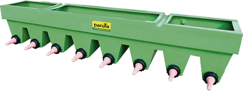 Kälber-Bar, mit Fächern