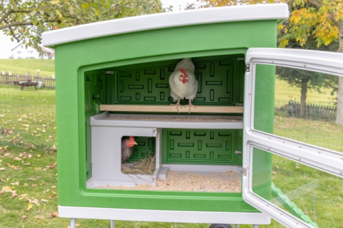 Mobile Coop aus Kunststoff