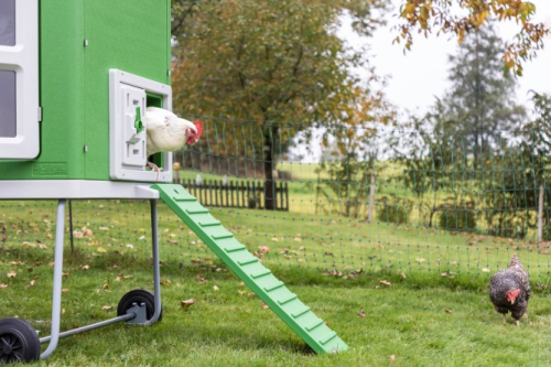 Mobile Coop aus Kunststoff