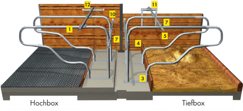 Liegeboxenbügel Classic - für Jungvieh