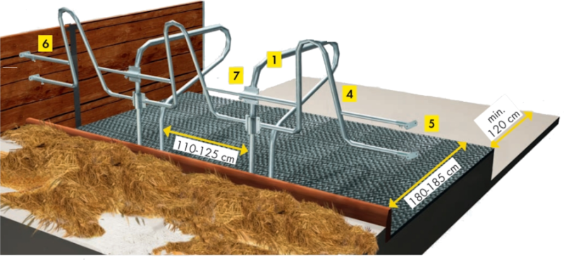 Liegeboxenbügel für Fressliegebox
