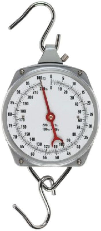 Zeigerschnellwaage 100kg 