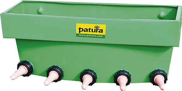 Kälber-Bar, ohne Fächer