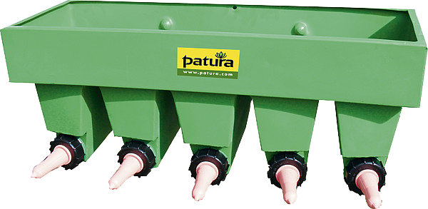 Kälber-Bar, mit Fächern