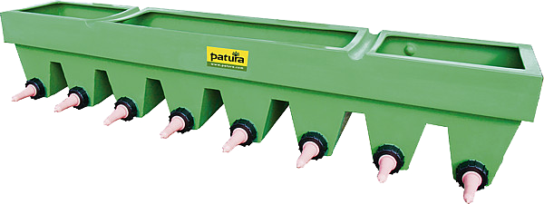 Kälber-Bar, mit Fächern