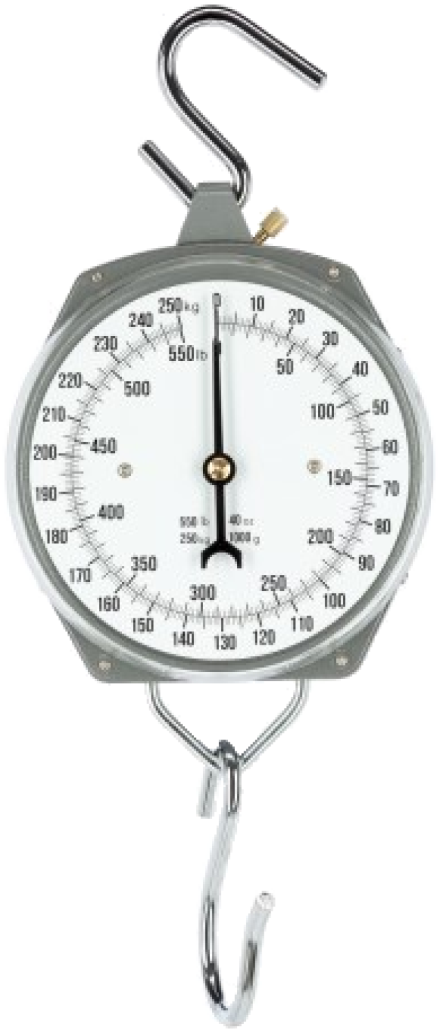 Zeigerschnellwaage 250 kg 
