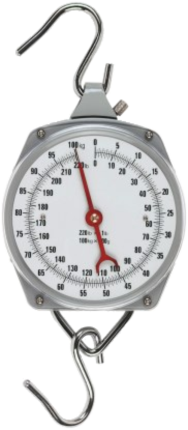 Zeigerschnellwaage 100kg 