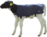 Kälberdecke EasyWear