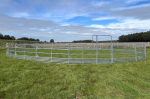Roundpen d= 11 m mit Sicherheits-Pferde-Panels