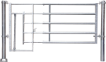 Abtrennung Kälber R5
