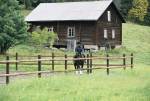 Octo Wood - Querstange 3,5 m
