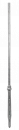 Line Post Pfahldorn