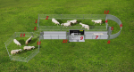 Komplettanlage mit Behandlungsstand zum Fangen, Behandeln und Sortieren von Schafen